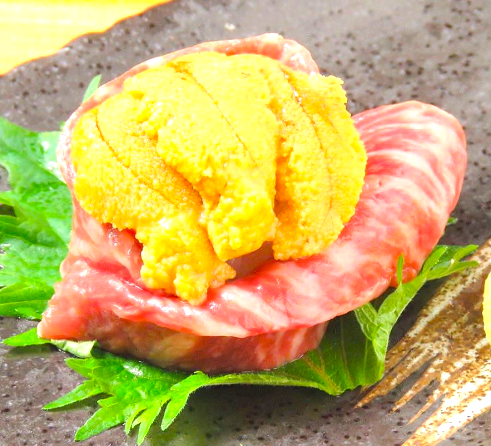 ９月３１日（ドクター３７歳）